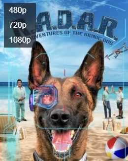 «Robotit Kino 2024» Tarjima uzbek tilida skachat to'liq