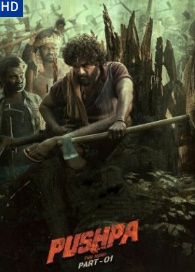 Pushpa 1: Yuksalish sari Hind kino Uzbek tilida 2022 O'zbekcha tarjima xind kino HD 720 Skachat