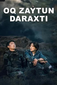 Oq zaytun / Daraxti Xitoy drama Uzbek tilida tarjima barcha qismlar yuklab olish